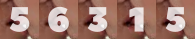 web counter